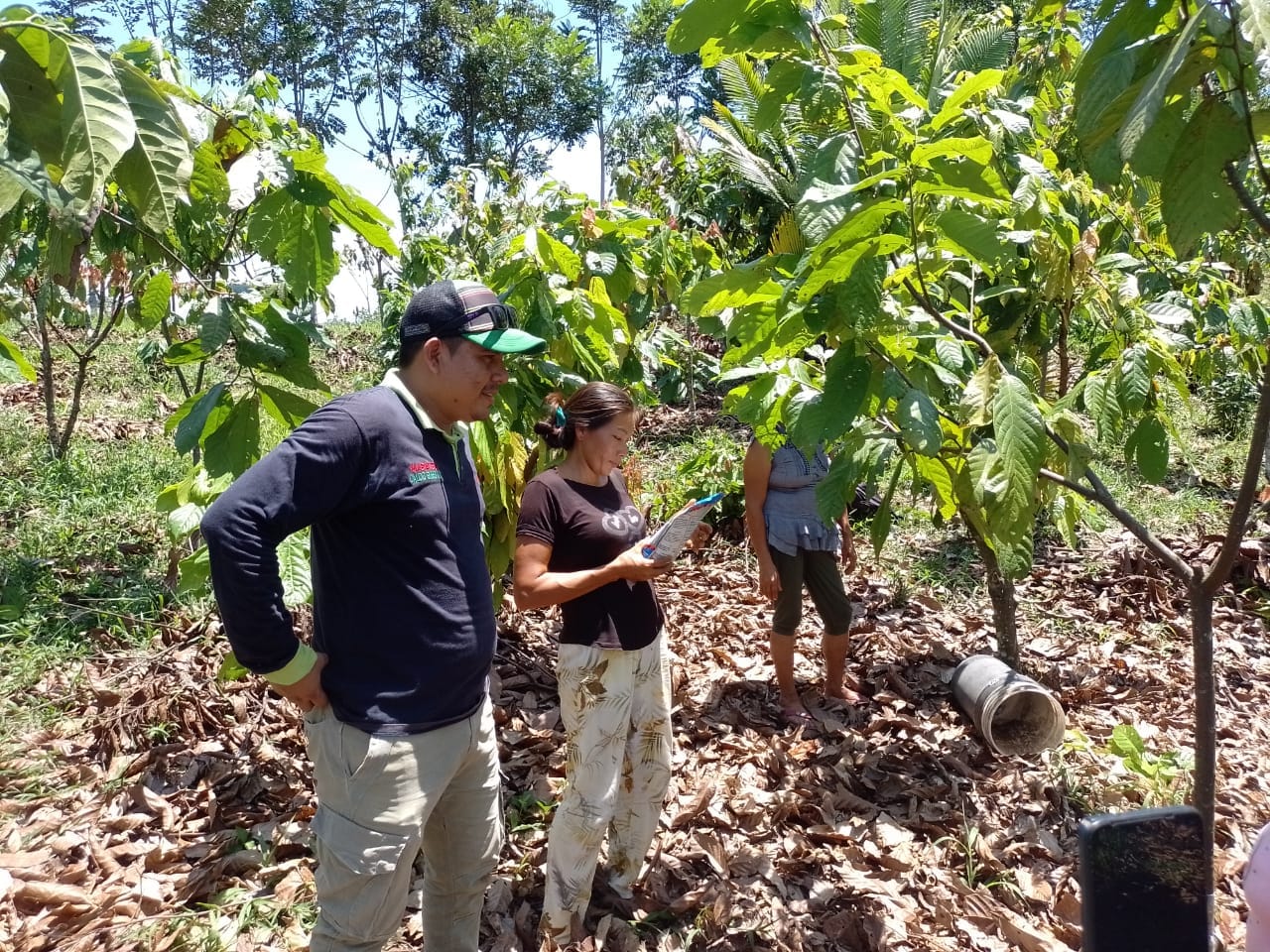 Visita de campo de un asesor de MABATEC